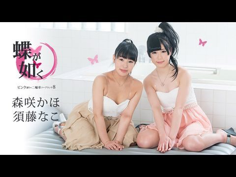 Caribbean942 蝶が如く ～ンク通りの二輪車ソーラン8～