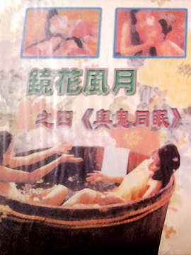 镜花风月系列：人鬼激情缠绵 (1992)